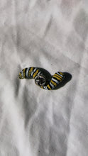 Load image into Gallery viewer, Caterpillar Pin
