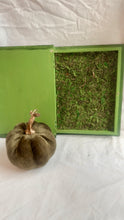 Load image into Gallery viewer, Luna Moth Book Box
