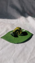 Load image into Gallery viewer, Big Snail Leaf Trinket Dish
