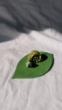Load image into Gallery viewer, Big Snail Leaf Trinket Dish
