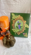 Load image into Gallery viewer, Luna Moth Book Box
